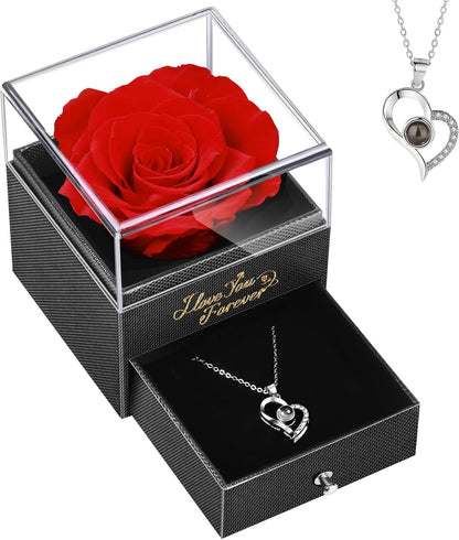 Rosa Eterna con Collar de Amor